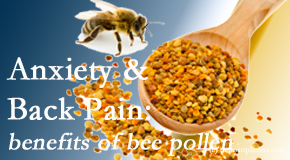 Aaron Chiropractic Clinic shares info on the benefits of bee pollen on cognitive function that may be impaired when dealing with back pain.