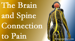 Aaron Chiropractic Clinic looks at the connection between the brain and spine in back pain patients to better help them find pain relief.