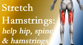 Aaron Chiropractic Clinic promotes back pain patients to stretch hamstrings for length, range of motion and flexibility to support the spine.
