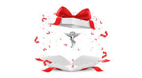 Fort Wayne chiropractic care as a gift