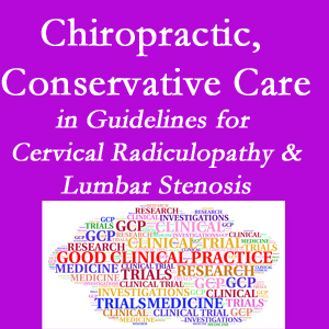 Fort Wayne chiropractic care for cervical radiculopathy and lumbar spinal stenosis is often ignored in medical studies and recommendations despite documented benefits. 