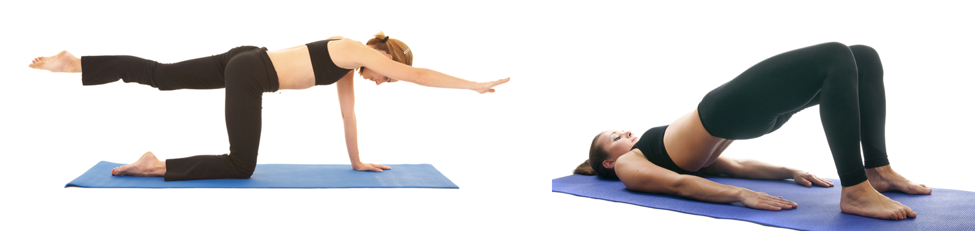 Fort Wayne chiropractic exercise to strengthen multifidus 