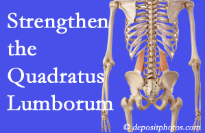 Fort Wayne chiropractic care proposes exercise recommendations to strengthen spine muscles like the quadratus lumborum as the back heals and recovers.