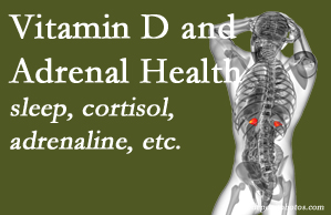 Aaron Chiropractic Clinic shares new research about the effect of vitamin D on adrenal health and function.